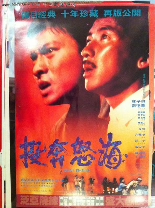 哪里能办荷兰护照电子版